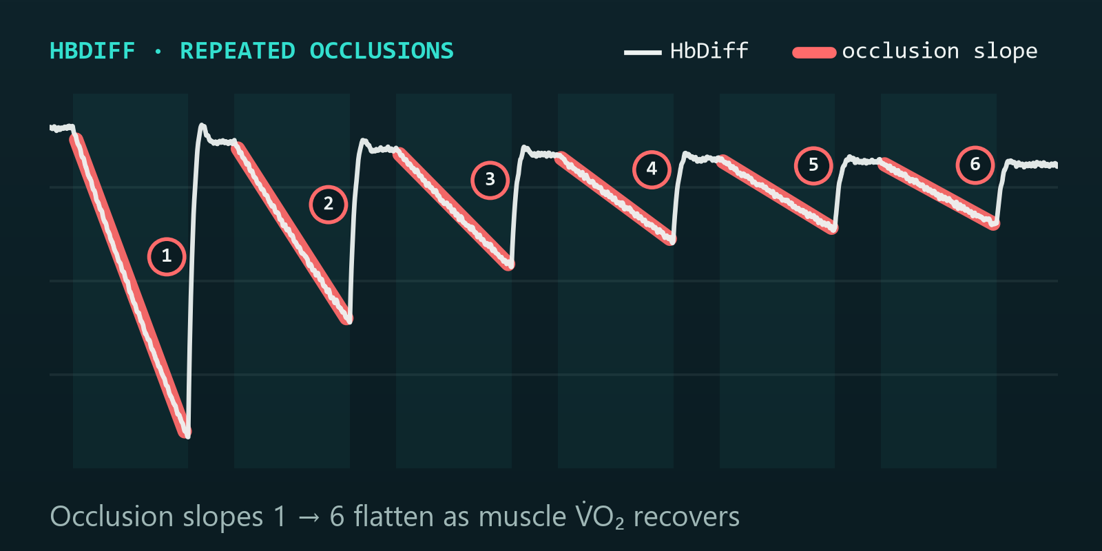 Raw HbDiff trace across six repeated arterial occlusions, the desaturation slope of each occlusion highlighted and numbered 1 to 6; the slopes flatten as muscle oxygen consumption recovers